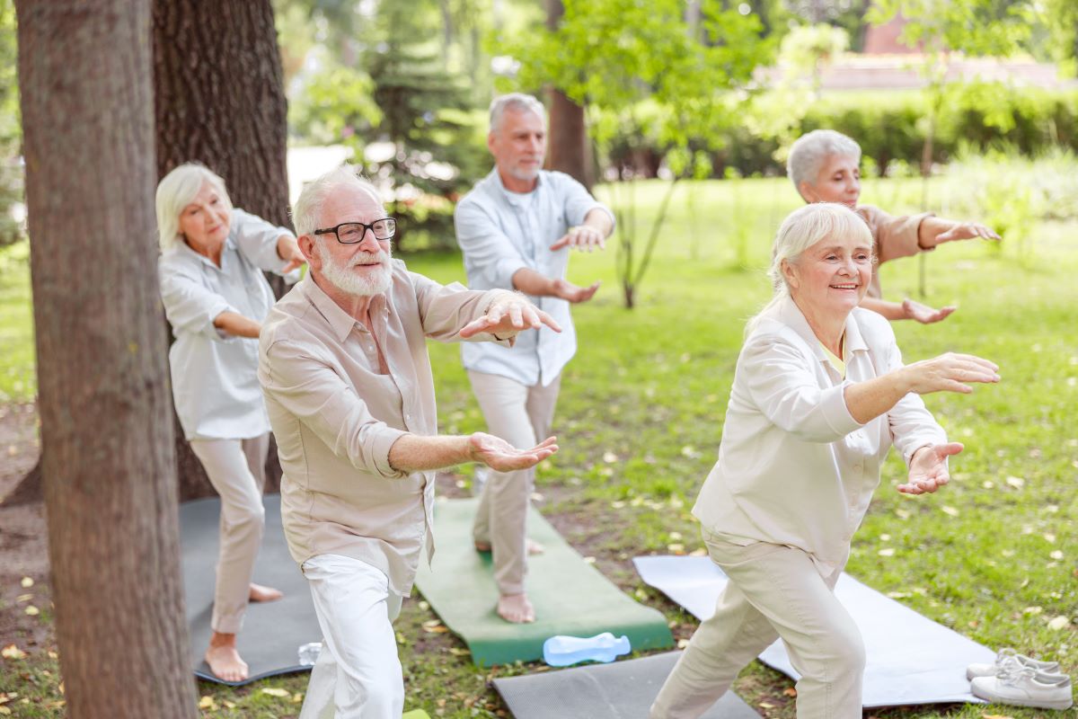Grupo de idosos a fazer exercício ao ar livre, beneficiando do Programa Lisboa+55.